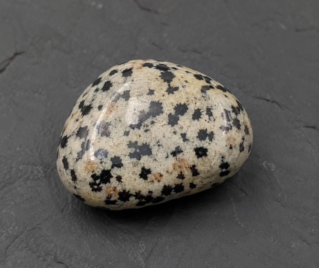 Dalmatian Jasper